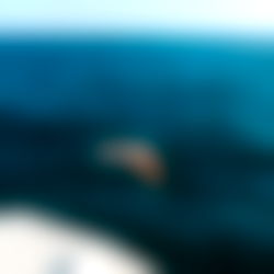 Veronica Rodriguez / V Rod photo