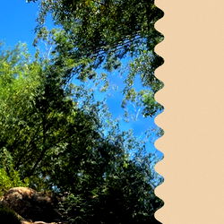 Olivia Eden 🧁 photo