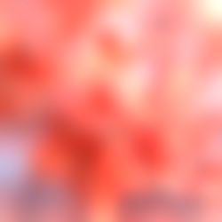 ๐ป๐๐๐๐๐๐
๐ซฆ ๐ต๐๐๐ก๐ง ๐๐๐๐ photo