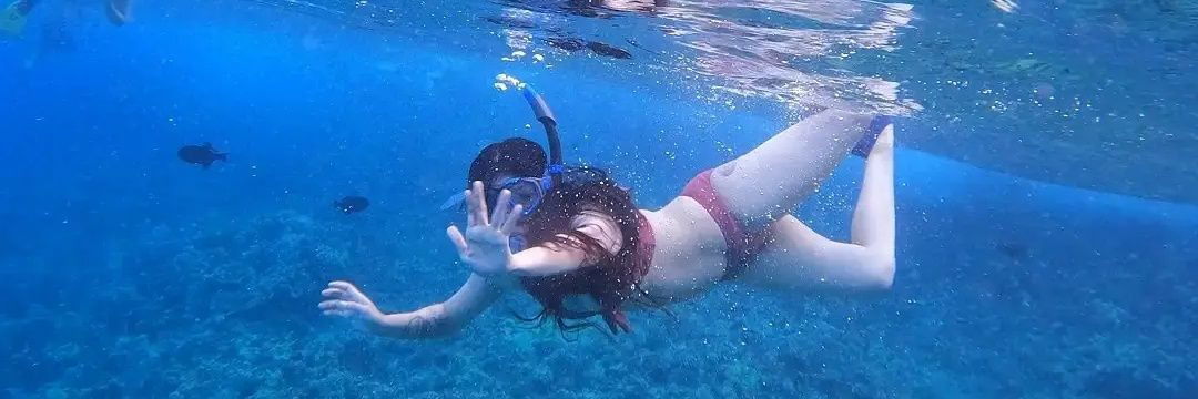 VenusDaGoat 🇲🇽 photo