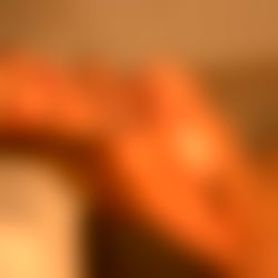 Letizia Fulkers โจ photo