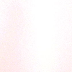 Laurenkimripley photo