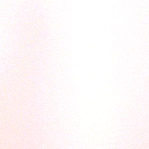 Laurenkimripley photo