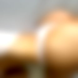 ๐ autumn ren (free) photo