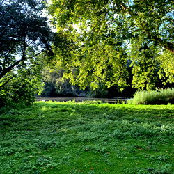 Griffin Barrows photo