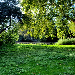 Griffin Barrows photo