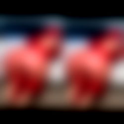 Thetayjean ๐ฆ Natural Fat ASS ๐ photo