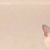 โฉ ๐๐๐๐๐๐ โฉ photo