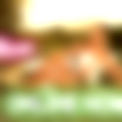 ๐ฌ๐ง๐๐๐พ๐๐๐ผ๐๐ผ๐ฌ๐ง ๐ฝ๐๐๐๐๐๐ ๐๐๐ ๐๐๐๐๐ photo