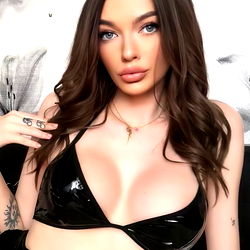 Pragtige Vynskubak Model in Volle Vynskubak