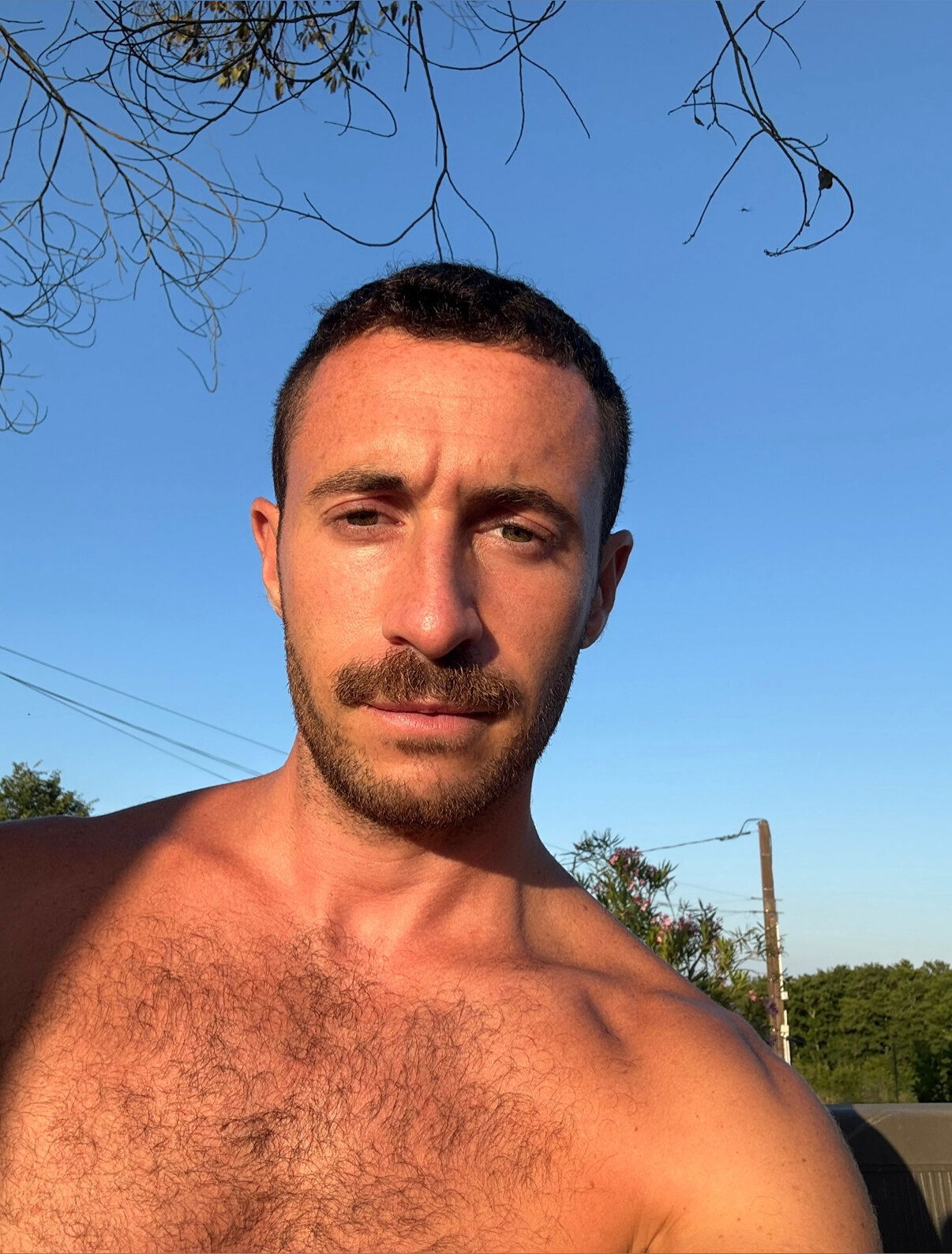 Salgues Alexis photo