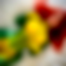 Taylor Gunner ๐ photo