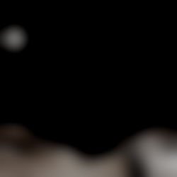 junebug ๐งก photo