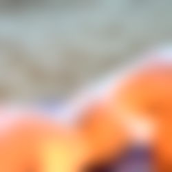 Barbie Roberts ๐๐ผโโ๏ธ photo