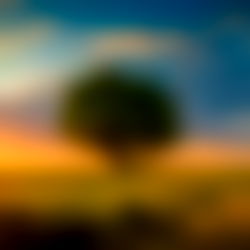 Mercedes Blanche photo