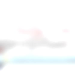 The Flirty Gemini VIP photo