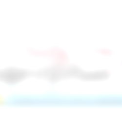 The Flirty Gemini VIP photo