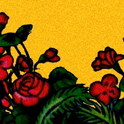 yaya ☻ they//them photo