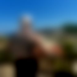 EVERGREEN ๐ฒ photo