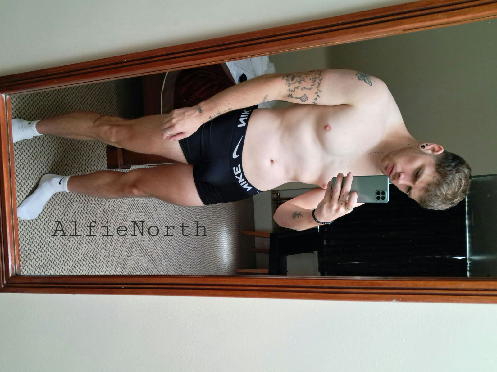 Alfienorth VIP photo