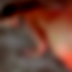 Mandy K ๐จ๐ฆ photo