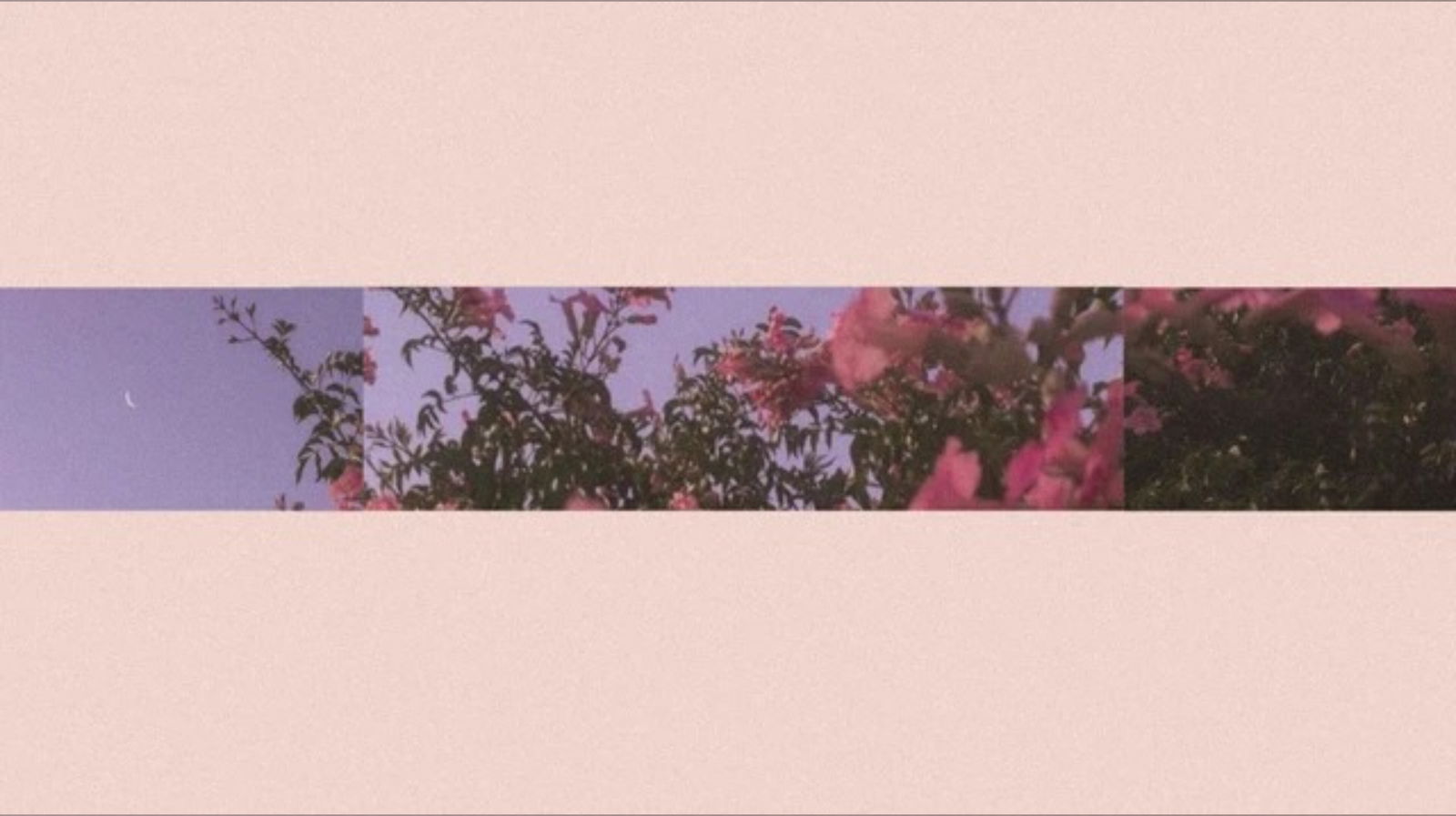 Sasha King 👑 photo