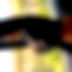 ๐Vianey Frias photo