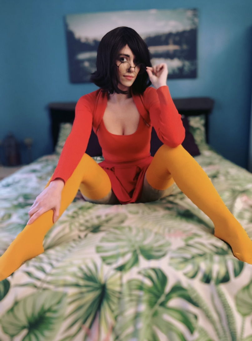 Highland Bunny photo