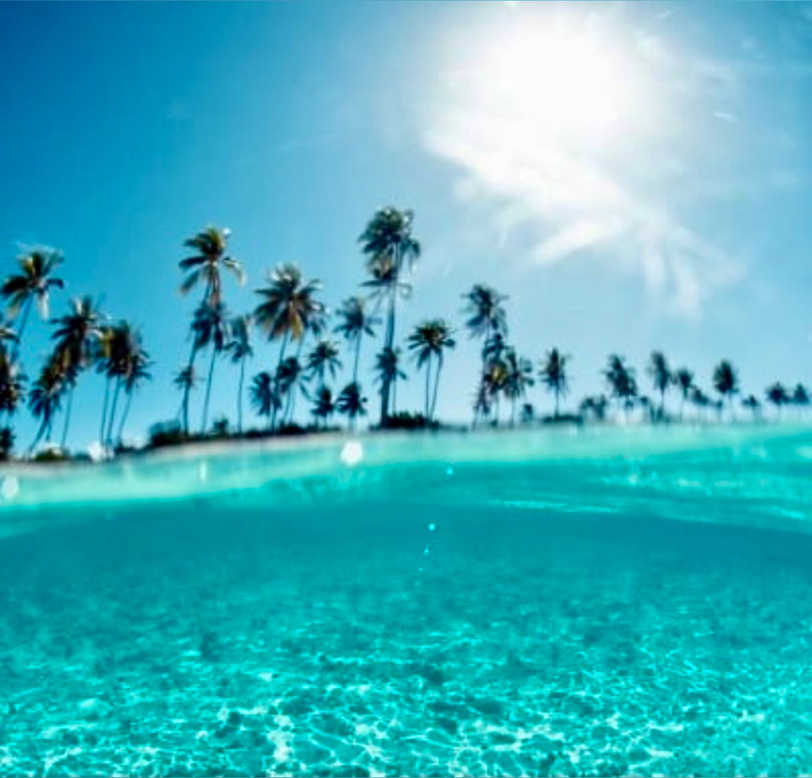 ᗷᗩ𝗂ᒪ𝖤Y🫧🐠 photo