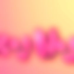 Vicky Hyuga๐ธ photo