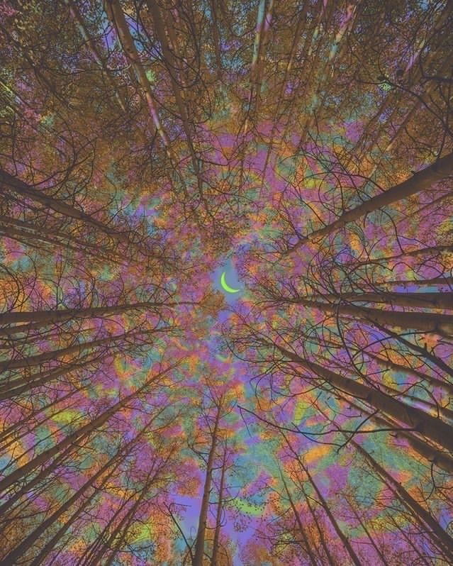 Priscilla Cassshhh photo