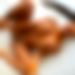 Jenna ๐๐ฆ photo