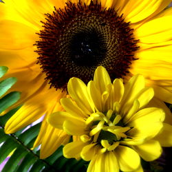 digitalprincxss photo