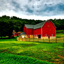 Aspen 🫶🏼 English country girl 🌸 photo