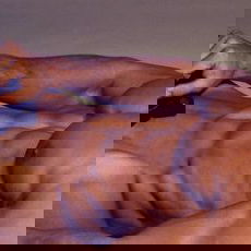 Jakes and Strangers photo