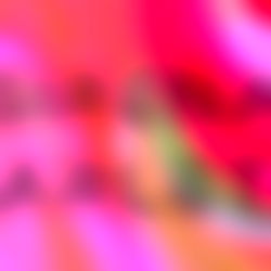 Sirena ๐ซฆ photo