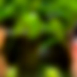 Emma โจ Your Latina Next Door photo