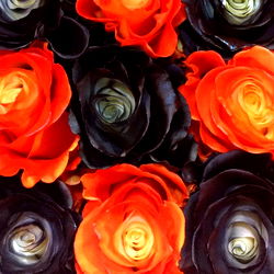 𝐆𝐨𝐝𝐝𝐞𝐬𝐬 𝐁𝐫𝐢𝐚𝐧𝐧𝐚 🇨🇦🌹 ©Rose Promotions photo