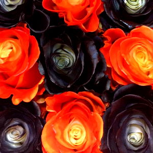 𝐆𝐨𝐝𝐝𝐞𝐬𝐬 𝐁𝐫𝐢𝐚𝐧𝐧𝐚 🇨🇦🌹 ©Rose Promotions photo