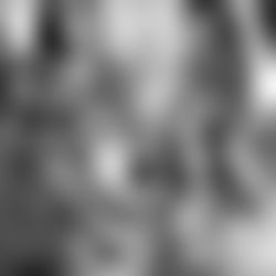 Savannah โก๏ธ photo