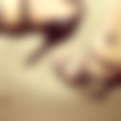 Lady Klementyna photo