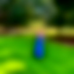 ๐ฆ๐จ๐ ๐ ๐๐ฅ ๐ฅ๐ข๐ฆ๐ ๐ฆ๐ช๐๐ก๐๐๐ฅ ๐ช๐๐๐ photo