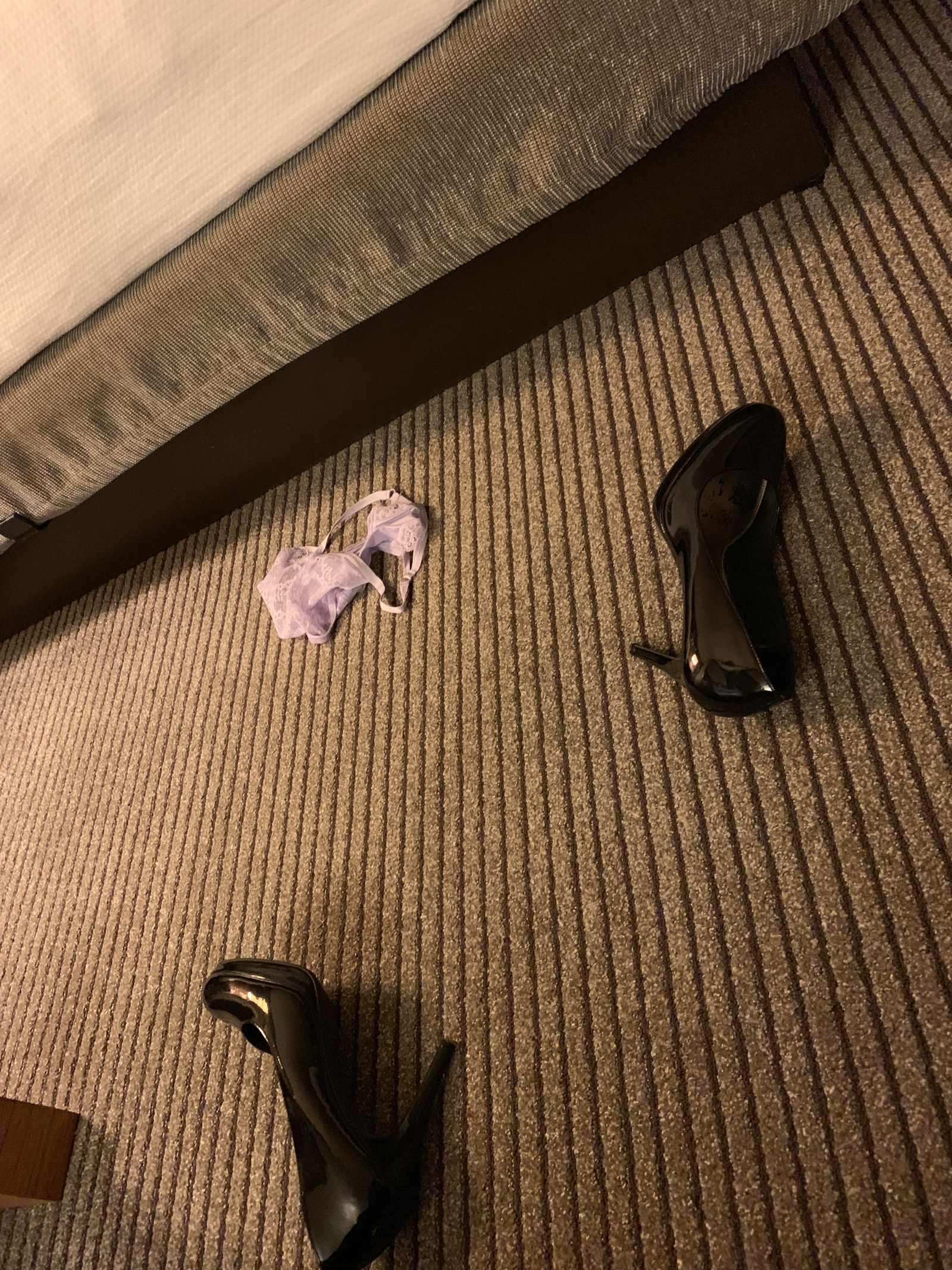 Mrs Robinson 🍎 photo