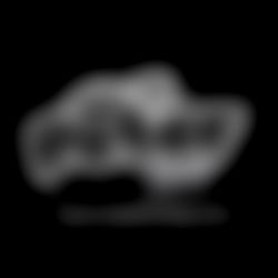 Sir Peter Top 2% photo