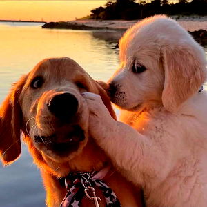 ๐ง๐ฝโโ๏ธ photo