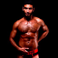 Wynige Man in 'n Stripperhand, Model van Florida