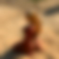 Jana Silky 🤍 photo