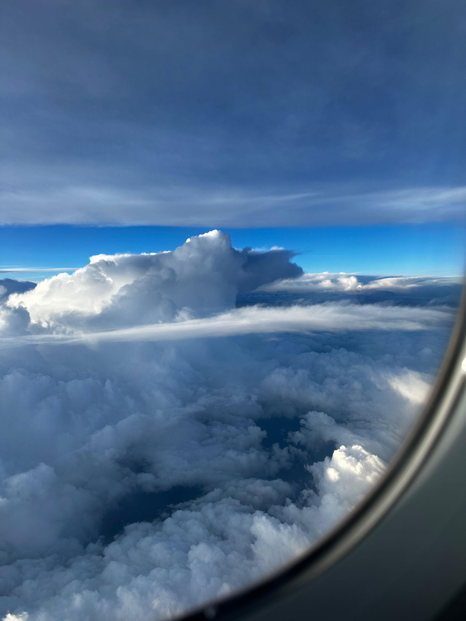 ✧༺ Harper ༻✧ photo