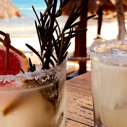 LiAleExperience photo