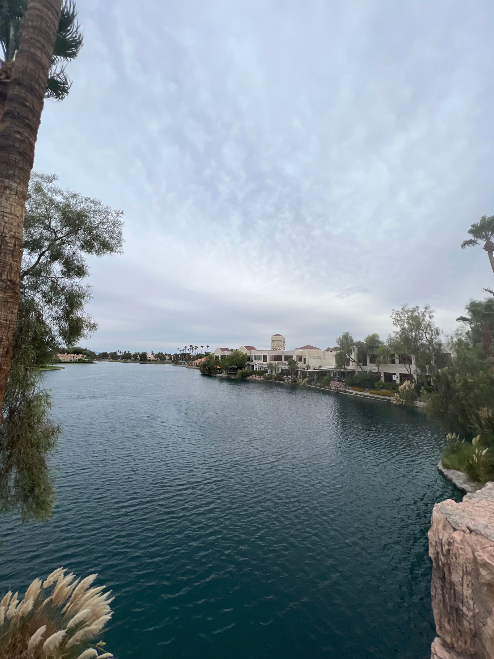 LOLA GONE WILD 🥥 photo